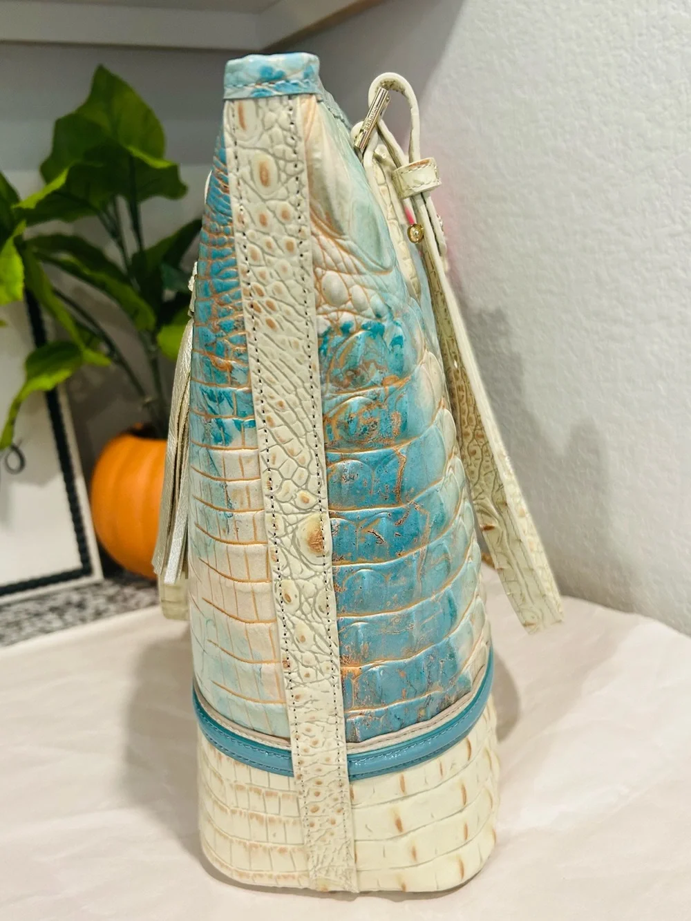 Brahmin Serendipity Schulz Asher Tote with Tassel